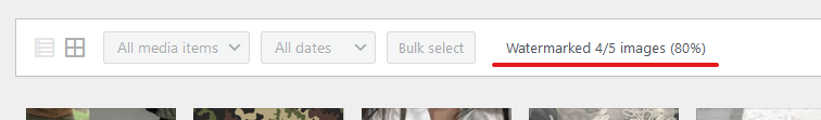 Watermark processing progress bar for bulk image watermarking